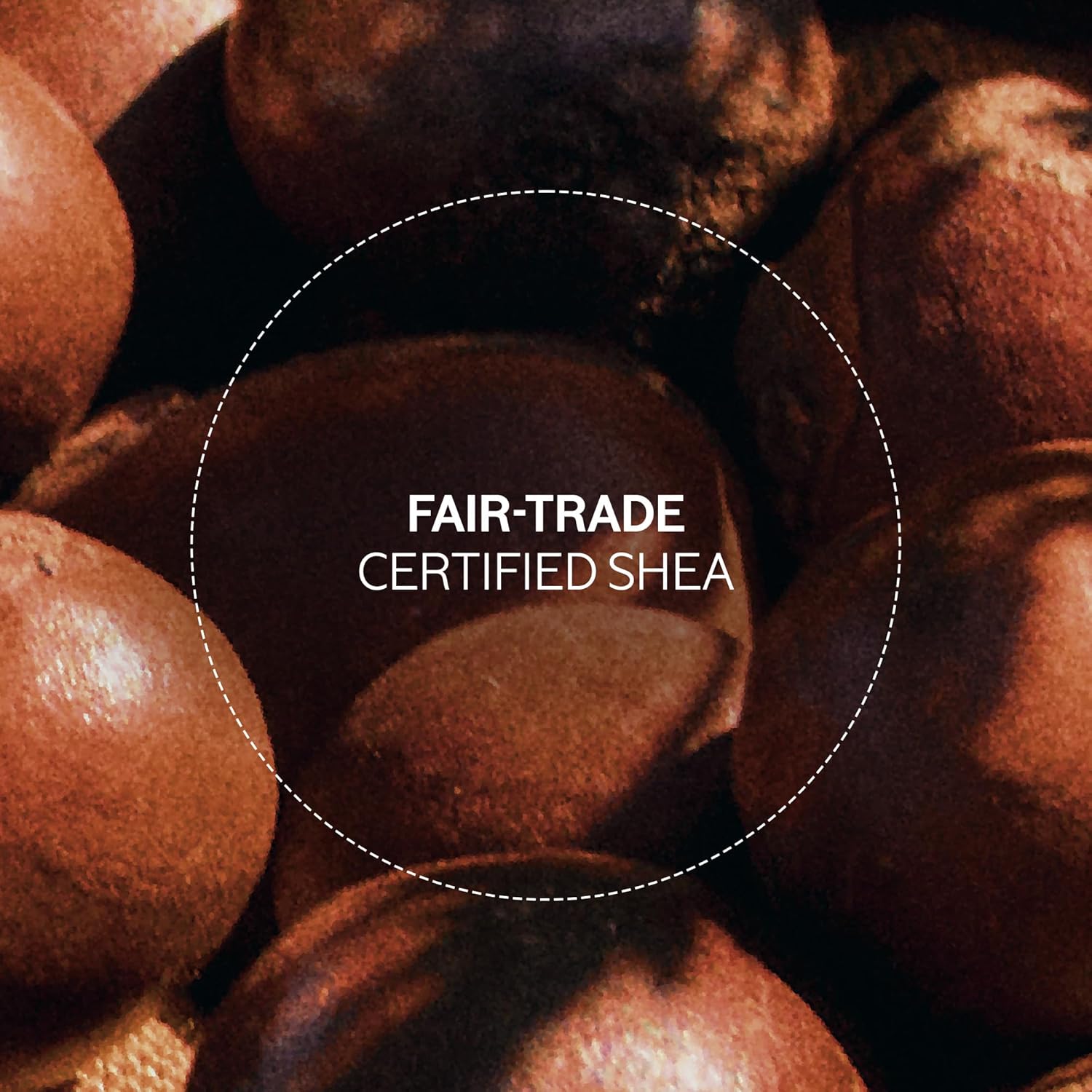 L'OCCITANE 10% Organic Shea Butter Ultra Rich Lip Balm Stick, Moisturizes, Nourishes, Repairs & Softens Dry, Chapped Lips, Long Lasting, Vegan